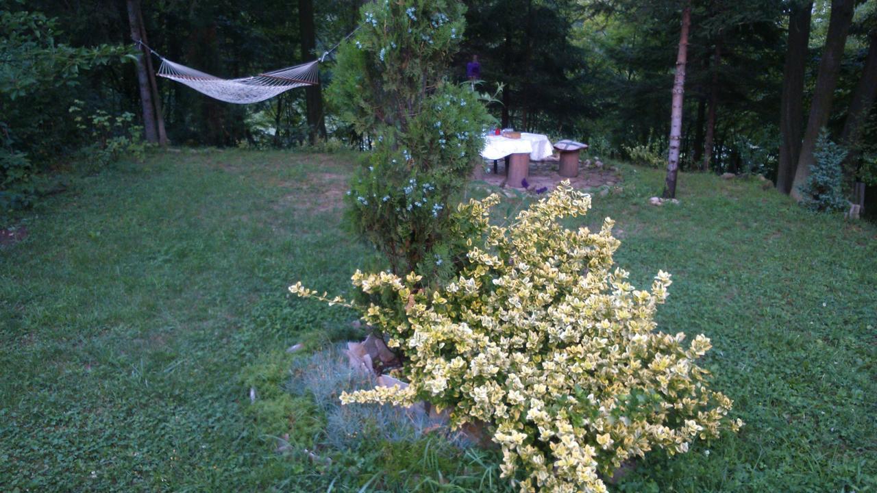 Tammaris Holiday Home Visoko Esterno foto
