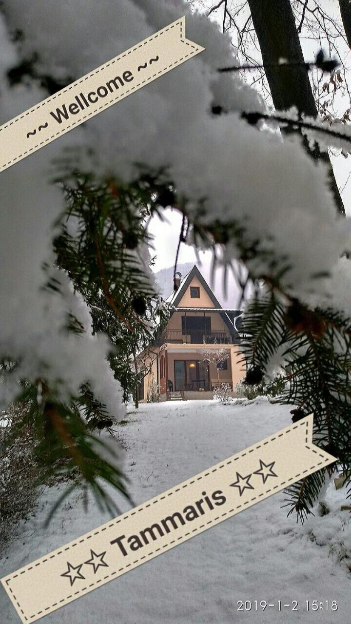 Tammaris Holiday Home Visoko Esterno foto