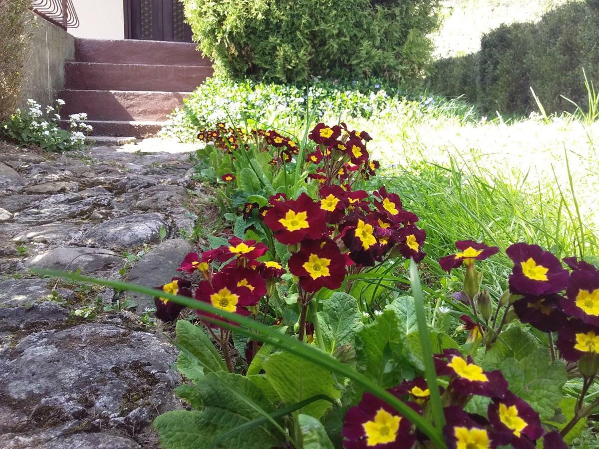 Tammaris Holiday Home Visoko Esterno foto